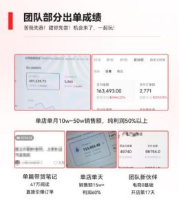 2023小红书电商火爆全网，新晋红利，风口项目，单店收益在3000-30000！-赚金金-技能学习分享