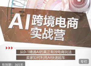 白龙老师·AI跨境电商实战营:从0-1精通Al的真正有效电商玩法,卖家如何利用Al快速超车-赚金金-技能学习分享