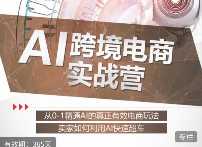 白龙老师·AI跨境电商实战营：从0-1精通Al的真正有效电商玩法，卖家如何利用Al快速超车-赚金金-技能学习分享