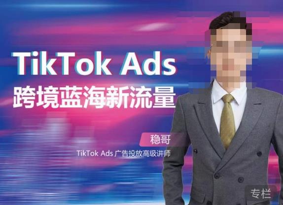 稳哥·如何投出高ROI的TikTok广告，开拓独立站卖家流量新蓝海-赚金金-技能学习分享