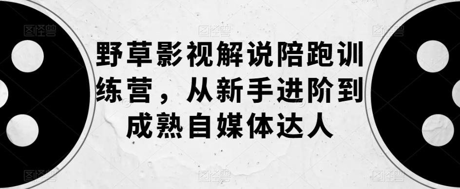 野草影视解说陪跑训练营，从新手进阶到成熟自媒体达人-赚金金-技能学习分享
