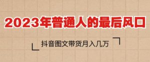2023年普通人的最后风口,抖音图文带货月入几万,只需一部手机即可操作-赚金金-技能学习分享