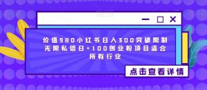 价值980小红书日入300突破限制无限私信日+100创业粉项目适合所有行业-赚金金-技能学习分享