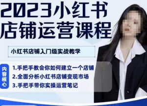 陶金金·2023小红书店铺运营课,小红书店铺入门实战教学-赚金金-技能学习分享