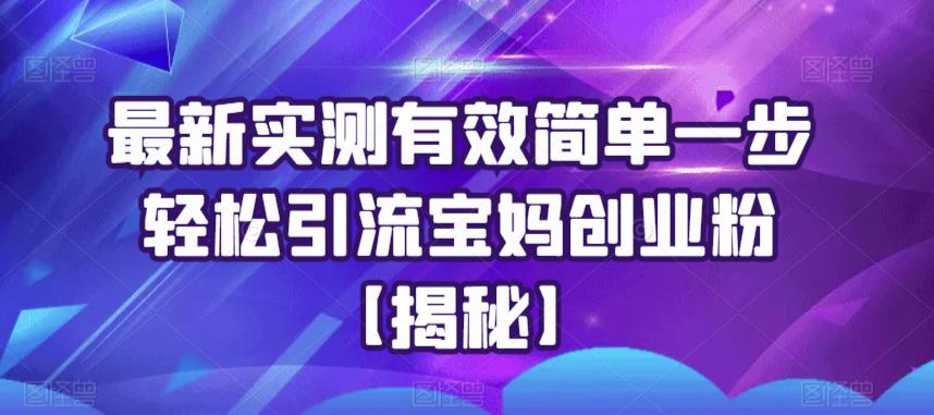 最新实测有效简单一步轻松引流宝妈创业粉【揭秘】-赚金金-技能学习分享