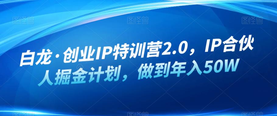 白龙·创业IP特训营2.0，IP合伙人掘金计划，做到年入50W-赚金金-技能学习分享