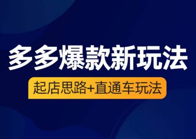 海神·多多爆款新玩法，​起店思路+直通车玩法（3节精华课）-赚金金-技能学习分享