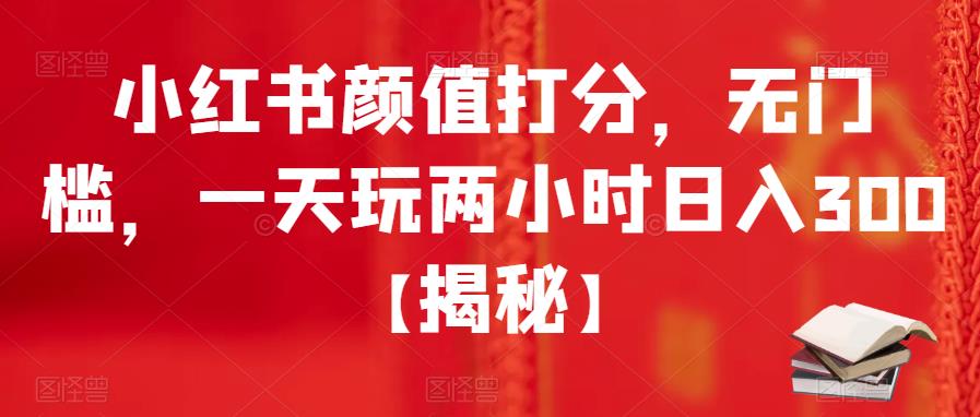 小红书颜值打分，无门槛，一天玩两小时日入300+【揭秘】-赚金金-技能学习分享