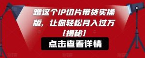 蹭这个IP切片带货实操版,让你轻松月入过万【揭秘】-赚金金-技能学习分享