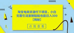 淘宝电商资源代下项目,小白无需引流复制粘贴也能日入300+【揭秘】-赚金金-技能学习分享