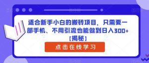 适合新手小白的搬砖项目，只需要一部手机、不用引流也能做到日入300+【揭秘】-赚金金-技能学习分享