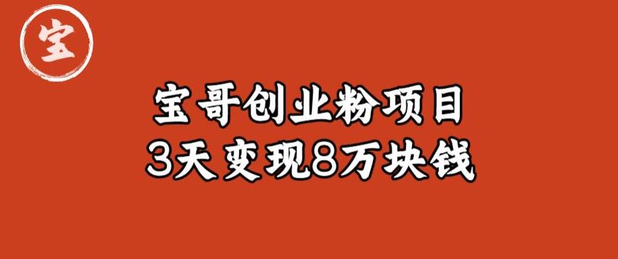 宝哥IP图文创业粉引流项目实战分享：单个账号3天涨粉1万，变现8万块钱（图文教程）【揭秘】-赚金金-技能学习分享