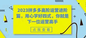 2023拼多多高阶运营进阶篇,用心学好四式,你就是下一位运营高手-赚金金-技能学习分享