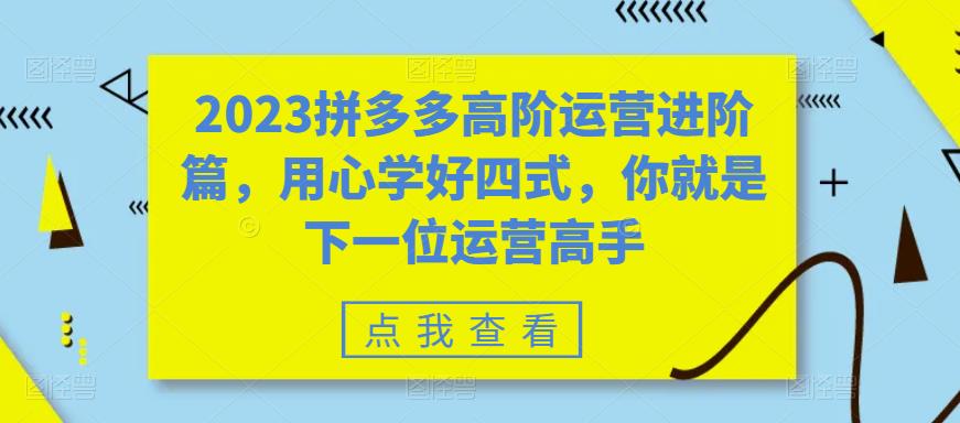 2023拼多多高阶运营进阶篇，用心学好四式，你就是下一位运营高手-赚金金-技能学习分享
