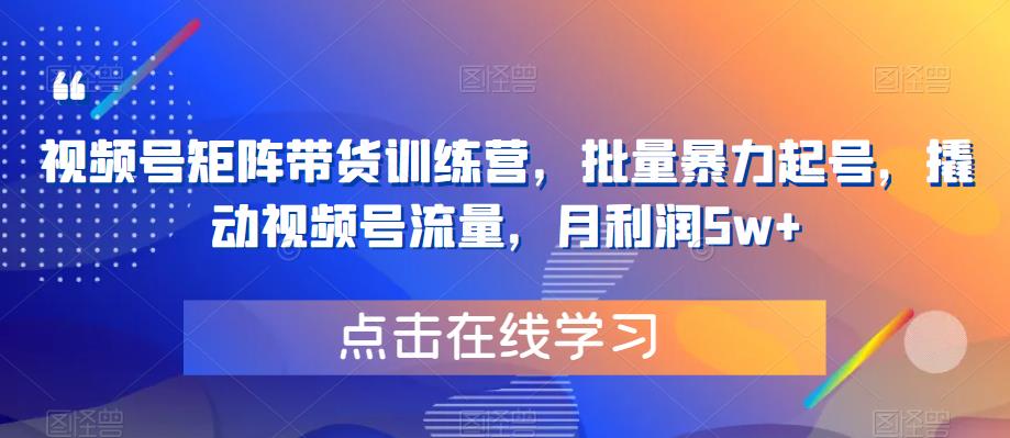 视频号矩阵带货训练营，批量暴力起号，撬动视频号流量，月利润5w+-赚金金-技能学习分享
