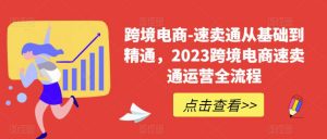 跨境电商-速卖通从基础到精通,2023跨境电商速卖通运营全流程-赚金金-技能学习分享