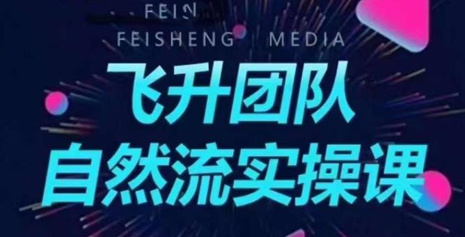 飞升团队课程自然流实操课，抖音半无人起号主播间搭建教学-赚金金-技能学习分享