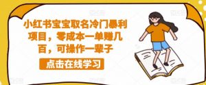 小红书宝宝取名冷门暴利项目,零成本一单赚几百,可操作一辈子-赚金金-技能学习分享