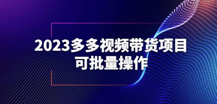 2023多多视频带货项目，可批量操作【保姆级教学】【揭秘】-赚金金-技能学习分享