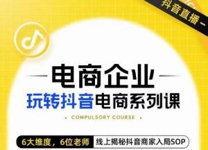 玺承·电商企业玩转抖音电商系列课,6大维度,6位老师,线上揭秘抖音商家入局SOP-赚金金-技能学习分享