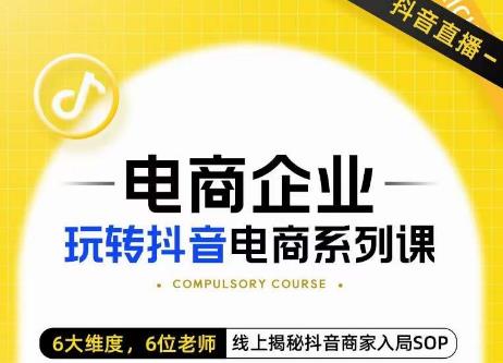 玺承·电商企业玩转抖音电商系列课，6大维度，6位老师，线上揭秘抖音商家入局SOP-赚金金-技能学习分享