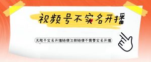 视频号引流不需要实名开播技术,无限注册新视频号无限开播都不需要实名就可以开播【揭秘】-赚金金-技能学习分享