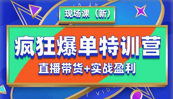 抖音短视频疯狂爆单特训营现场课（新）直播带货+实战案例-赚金金-技能学习分享