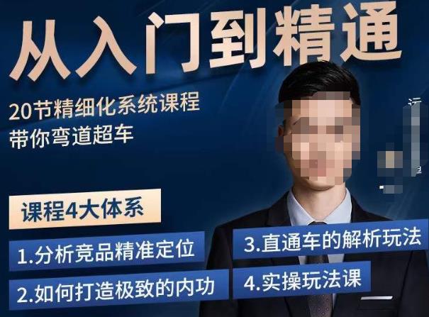 龙一·从入门到精通拼多多运营系列课，0-100的运营实操技巧，精细化系列课程带你弯道超车-赚金金-技能学习分享