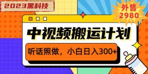 外面卖2980元2023黑科技操作中视频撸收益,听话照做小白日入300+-赚金金-技能学习分享