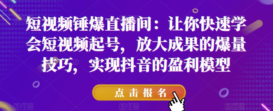 短视频锤爆直播间：让你快速学会短视频起号，放大成果的爆量技巧，实现抖音的盈利模型-赚金金-技能学习分享