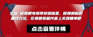 文林·短频视电商带训货练营,短视频的新赚钱方法,在视号频和抖音实上现爆单吧-赚金金-技能学习分享