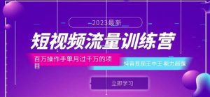 短视频流量训练营:百万操作手单月过千万的项目:抖音变现王中王能力超强-赚金金-技能学习分享
