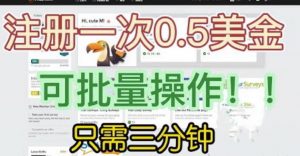 国外项目注册一次0.5美金,只需三分钟无脑操作,可批量同时放大操作,小白工作室福利【揭秘】-赚金金-技能学习分享