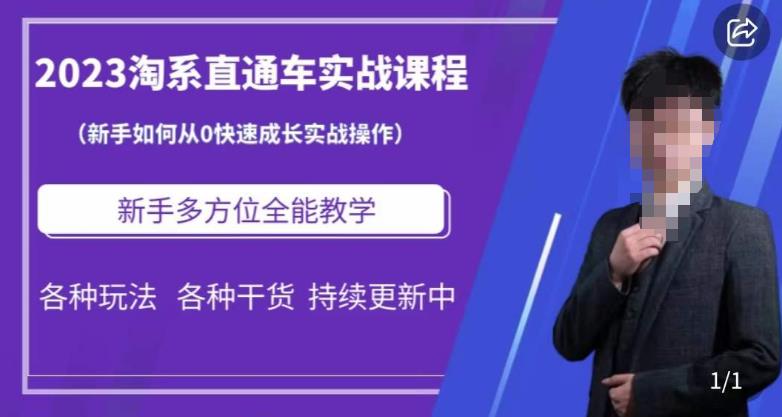 2023淘系直通车保姆式运营讲解，新手如何从0快速成长实战操作，新手多方位全能教学-赚金金-技能学习分享