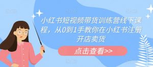 小红书短视频带货训练营线下课程,从0到1手教你在小红书注册开店卖货-赚金金-技能学习分享
