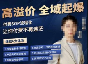 逸风-拼多多高溢价全域起爆,6大课程体系,付费玩法全套实操-赚金金-技能学习分享