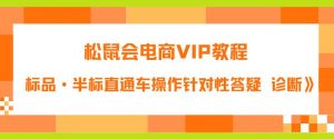 松鼠会电商VIP教程:松鼠《付费推广标品·半标直通车操作针对性答疑&诊断》-赚金金-技能学习分享