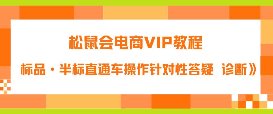 松鼠会电商VIP教程：松鼠《付费推广标品·半标直通车操作针对性答疑&诊断》-赚金金-技能学习分享