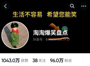 价值1000的搞笑盘点大V淘淘爆笑盘点详细课程+软件,中视频变现-赚金金-技能学习分享