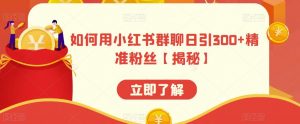 如何用小红书群聊日引300+精准粉丝【揭秘】-赚金金-技能学习分享