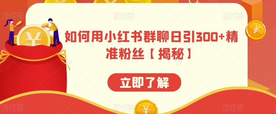 如何用小红书群聊日引300+精准粉丝【揭秘】-赚金金-技能学习分享