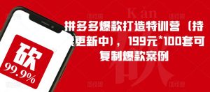 拼多多爆款打造特训营(持续更新中),199元*100套可复制爆款案例-赚金金-技能学习分享