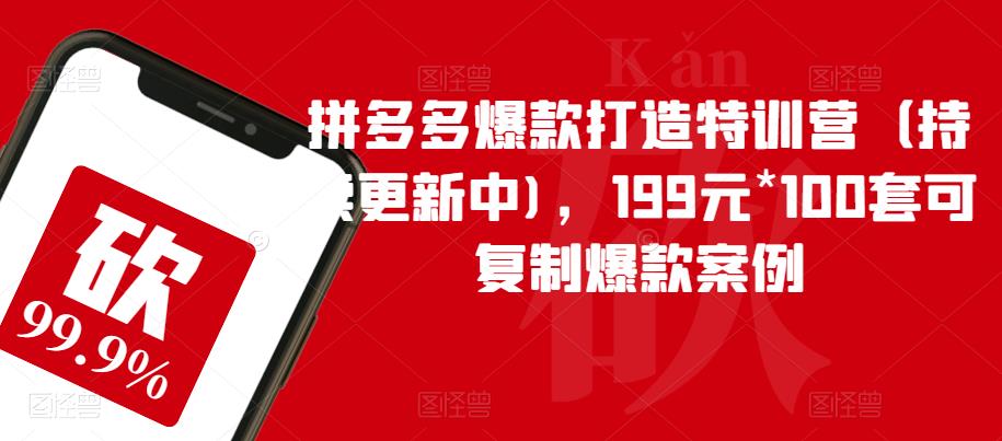 拼多多爆款打造特训营（持续更新中)，199元*100套可复制爆款案例-赚金金-技能学习分享
