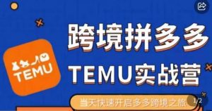 大鹏出海·拼多多跨境temu运营指导,开店注册+选品+核价上架,日出千单实战课-赚金金-技能学习分享