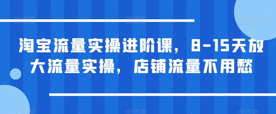 淘宝流量实操进阶课，8-15天放大流量实操，店铺流量不用愁-赚金金-技能学习分享