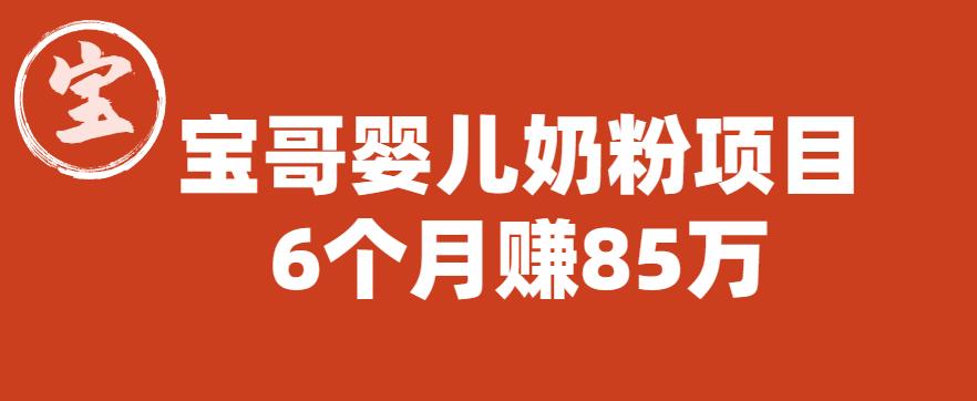 宝哥婴儿奶粉项目，6个月赚85w【图文非视频】【揭秘】-赚金金-技能学习分享