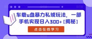 车载u盘暴力私域玩法,一部手机实现日入300+【揭秘】-赚金金-技能学习分享