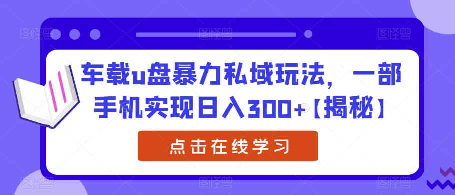 车载u盘暴力私域玩法，一部手机实现日入300+【揭秘】-赚金金-技能学习分享