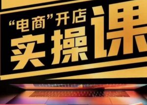 小李子电商抖店商品卡,商品卡实操流程,有货源/无货源,电商开店实操和底层逻辑-赚金金-技能学习分享