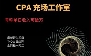 张子凡·20年实战经验,揭秘营销背后的底层逻辑,突破思维局限,从根本上破解营销难题-赚金金-技能学习分享